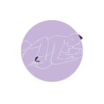 360030 SATISFYER PARTNER PLUS COUPLES VIBRATOR